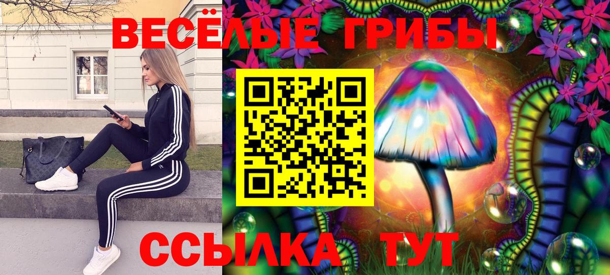 Елизово  Псилоцибиновые грибы GOLDEN TEACHER  Псилоцибиновые грибы мицелий  Вход с VPN 