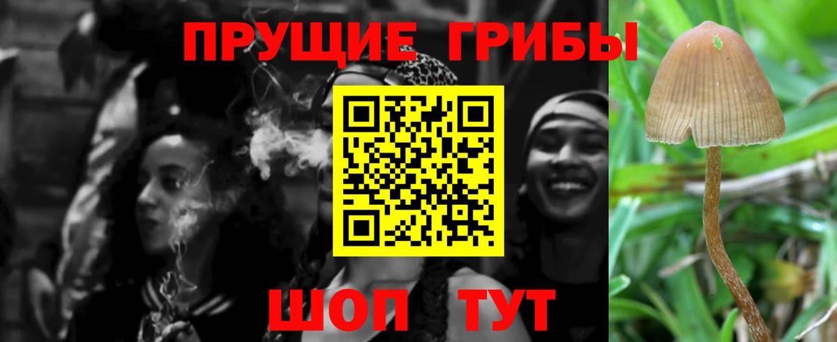 Галлюциногенные грибы Cubensis Елизово